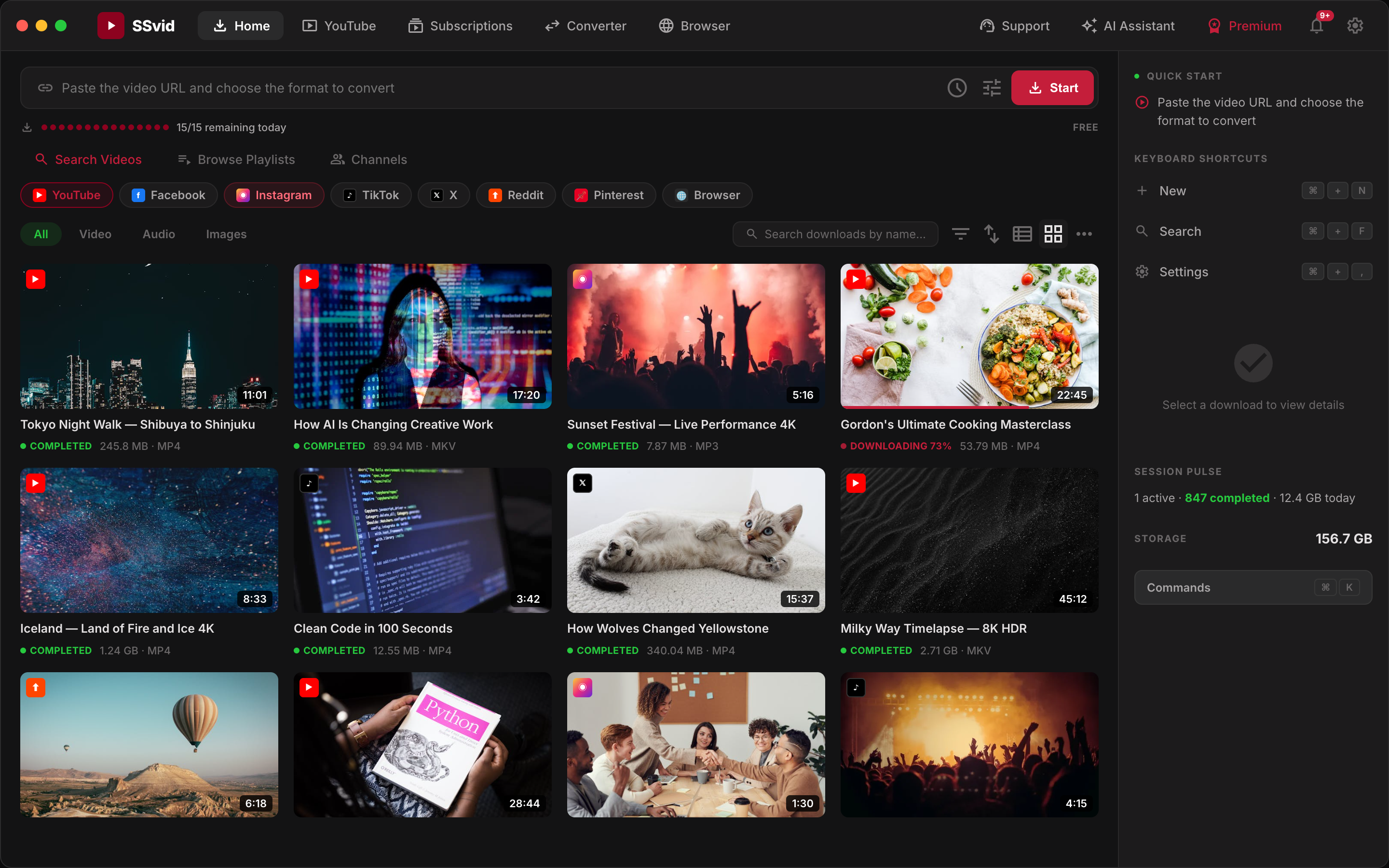 SSvid home screen — paste any URL, pick quality, download instantly